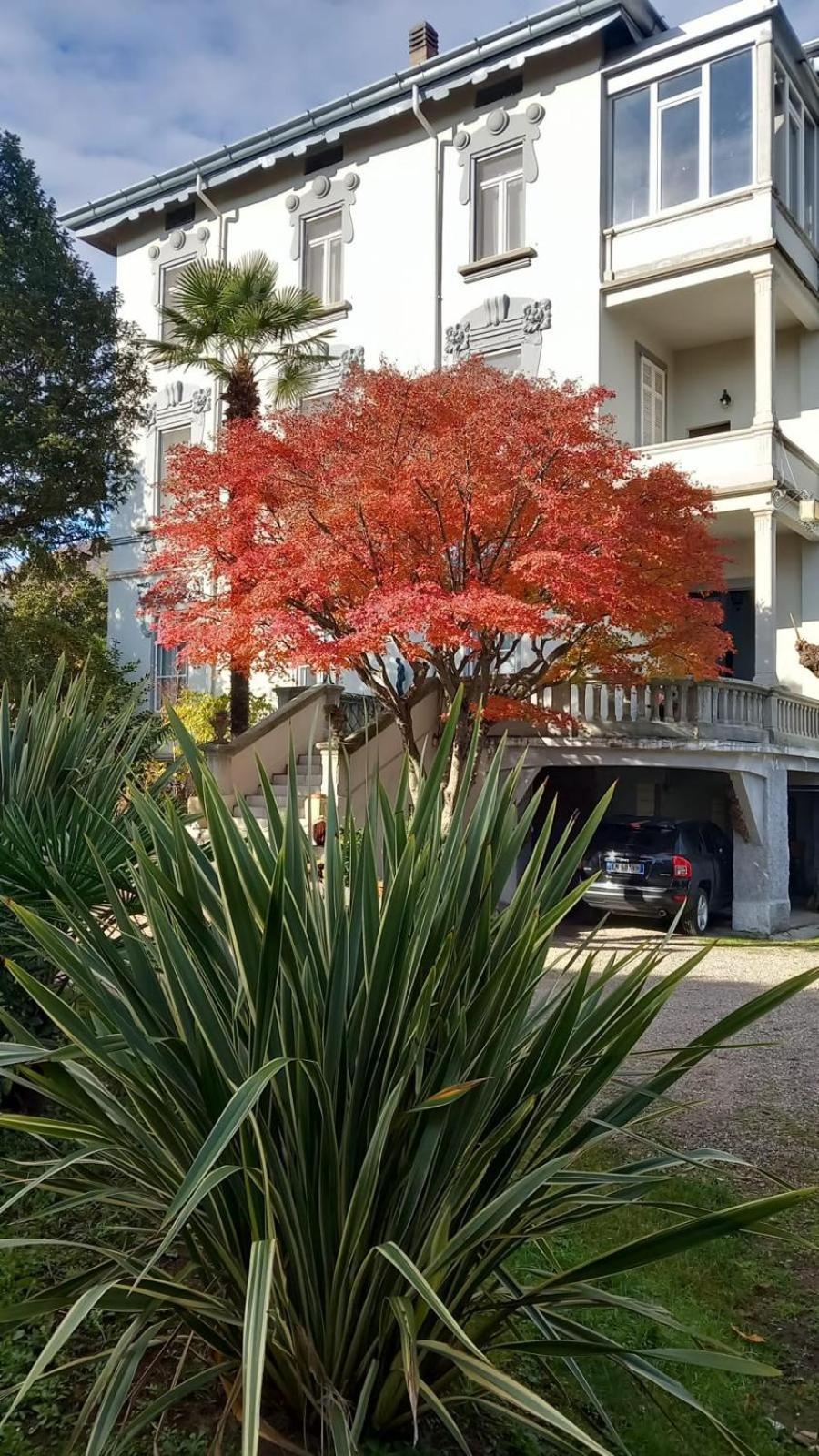Villa Sapi Arcisate Exteriér fotografie