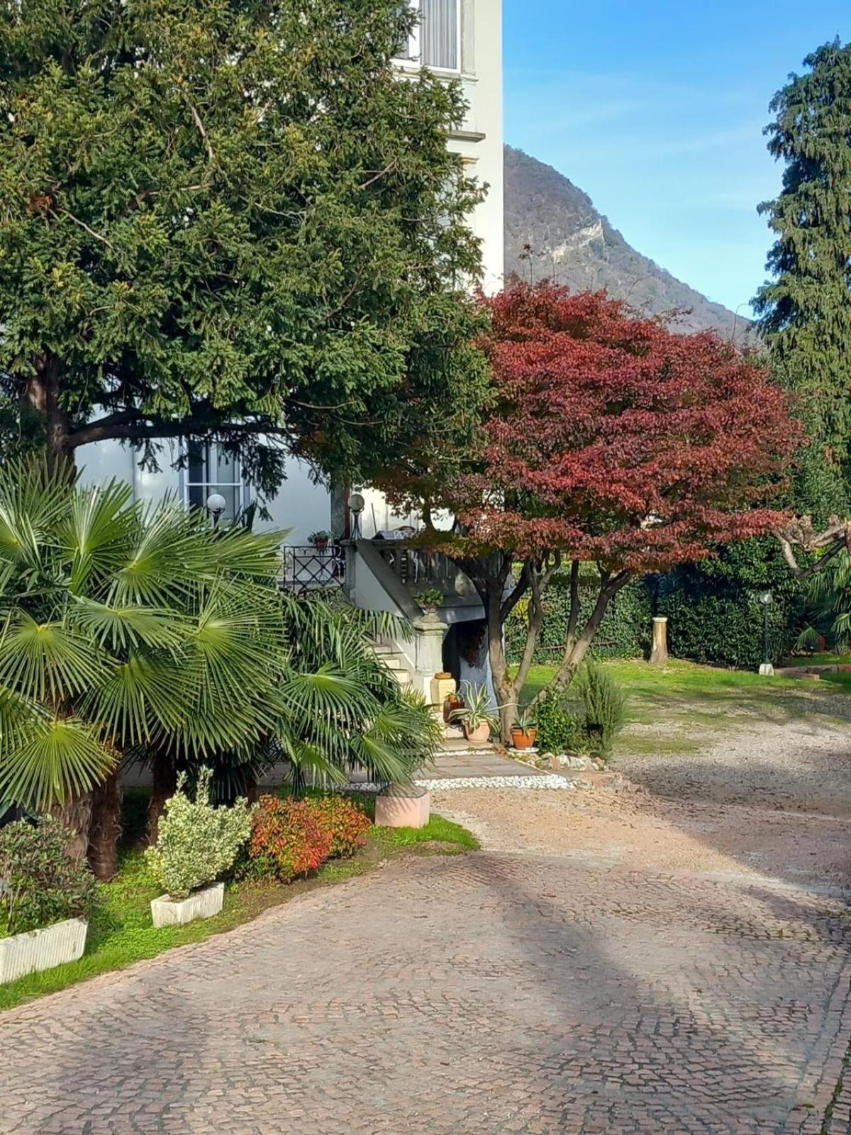Villa Sapi Arcisate Exteriér fotografie